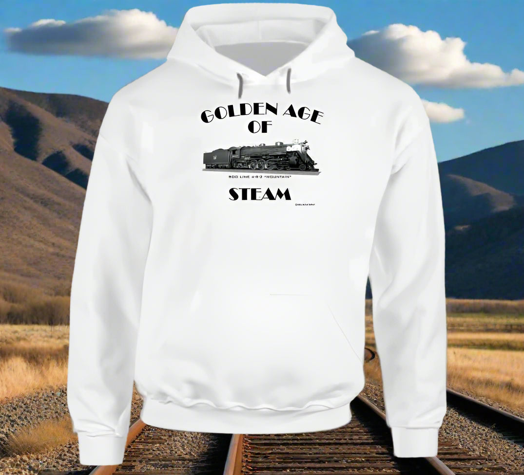 Steam Engine Black T Shirt T-Shirt Smiling Wombat