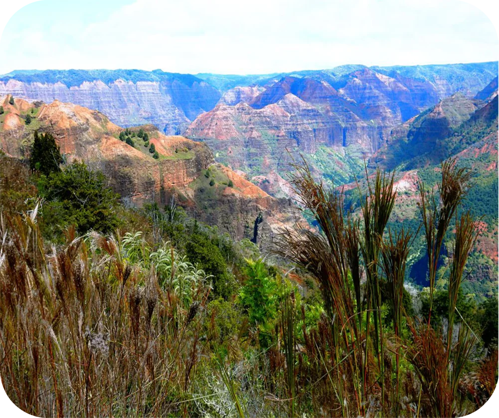 Waimea Canyon State Park - Mousepad - Shopify