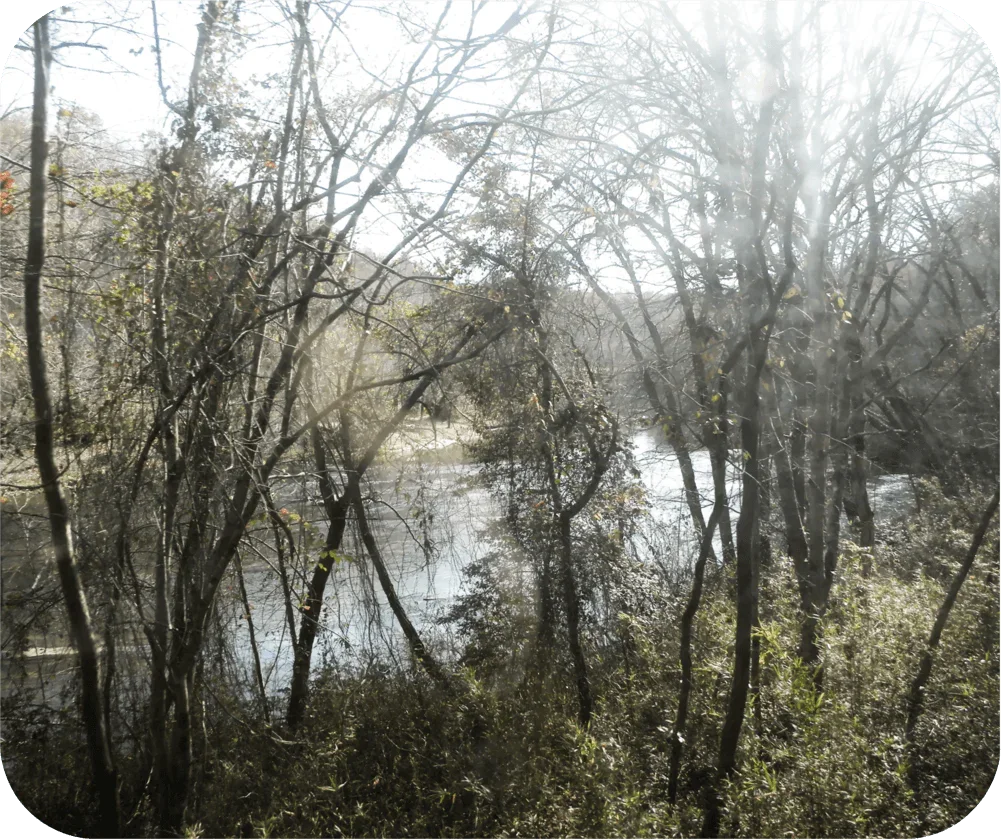 Toccoa River in North Georgia - Mouse Pad - Shopify