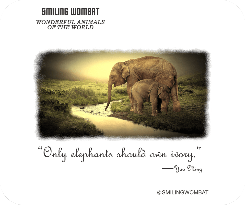 Only Elephants should own Ivory - Mouse Pad - Smiling Wombat