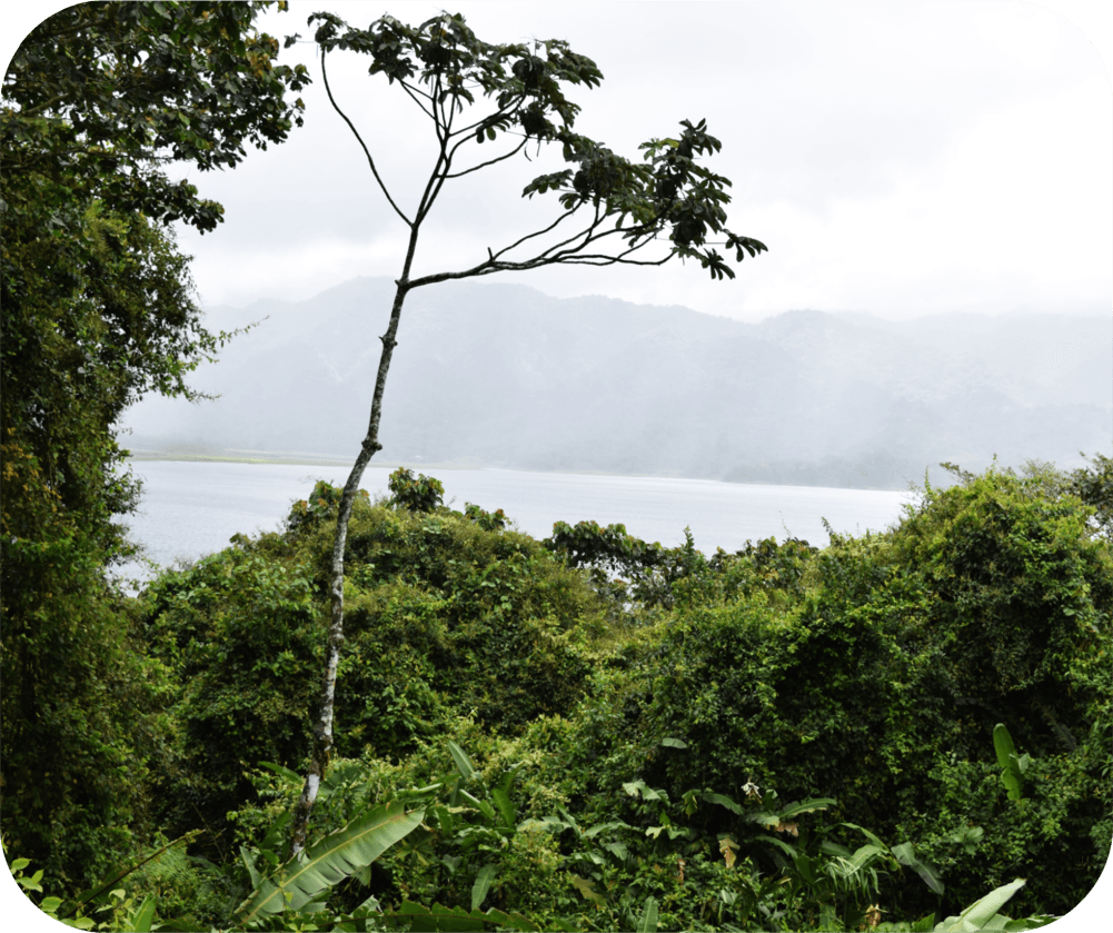 Panama Canal Mouse Pad from Smiling Wombat - Shopify