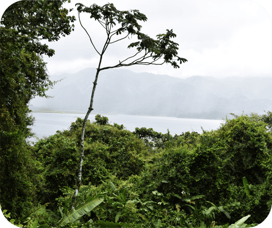 Panama Canal Mouse Pad from Smiling Wombat - Shopify