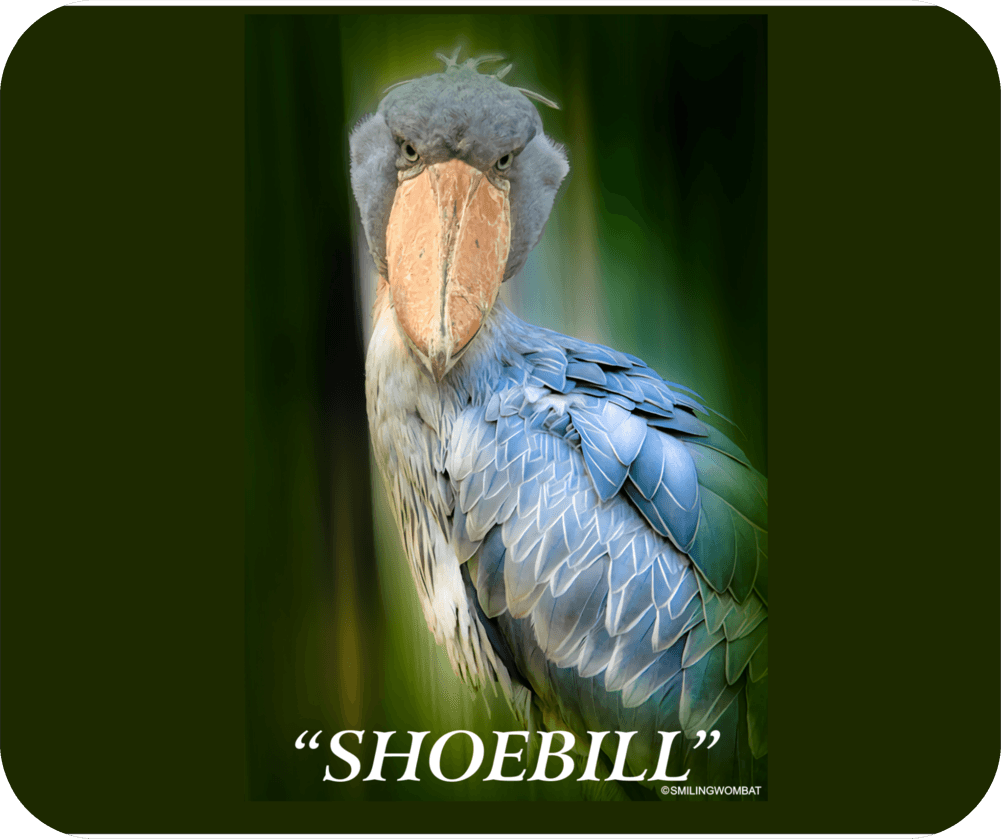 Shoebill Mouse Pad - Shopify