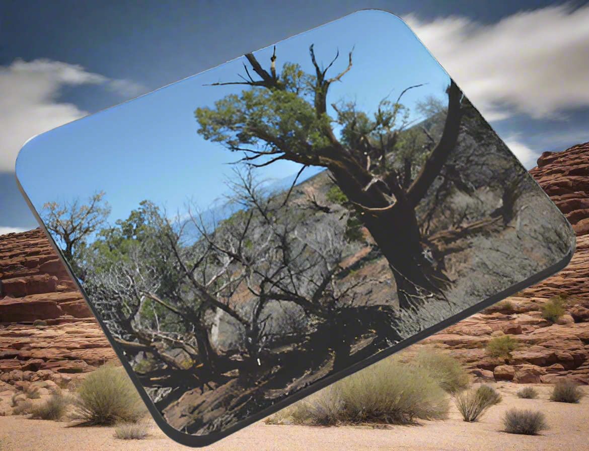 Colorado National Monument- Mouse Pad - Smiling Wombat