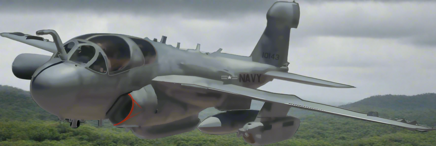 EA 6B Prowler - Smiling Wombat