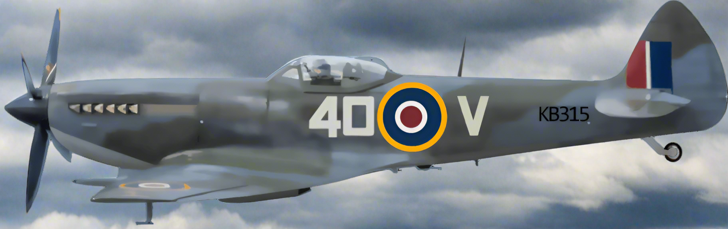 Supermarine Spitfire - T Shirt - Smiling Wombat