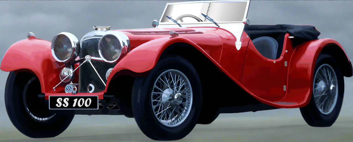 Classic Car Jaguar 100 - Smiling Wombat