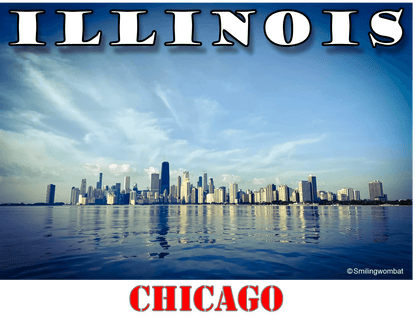 Illinois T- Shirt - Part of the State Collection by Smiling Wombat - Smiling Wombat