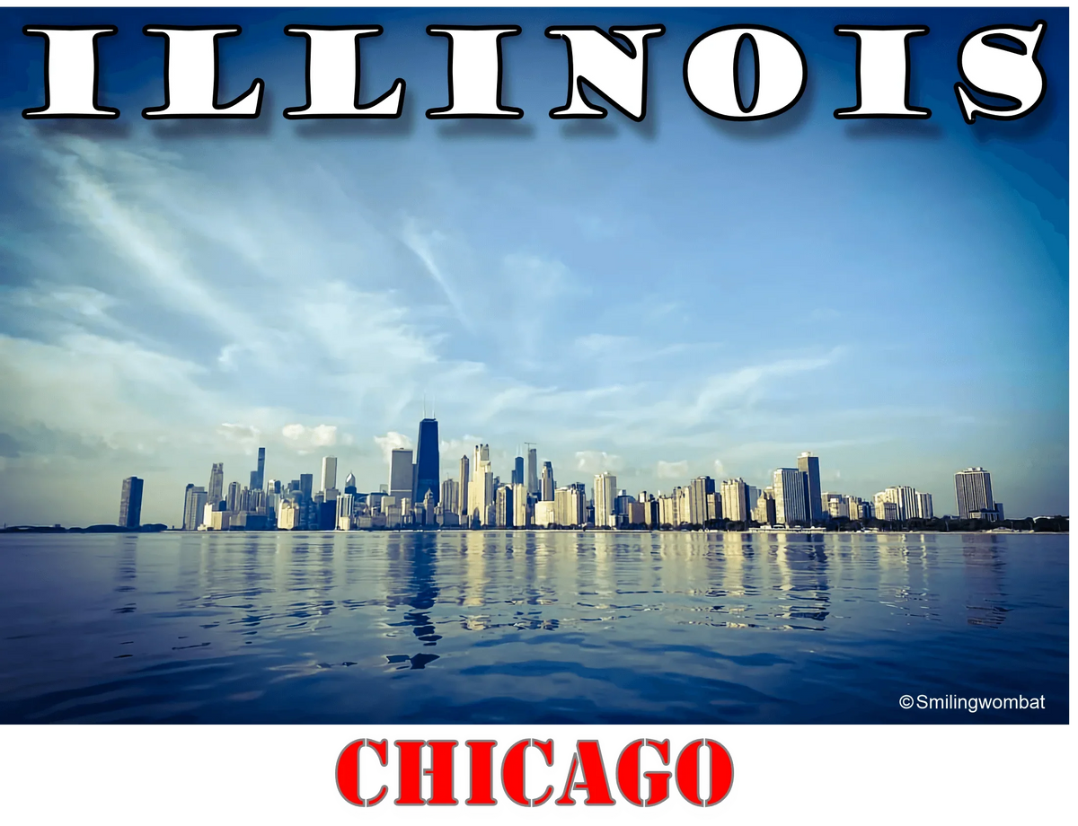 Illinois T- Shirt - Part of the State Collection by Smiling Wombat - Shopify