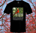 Red Cardinal Shirt Collection - Shopify
