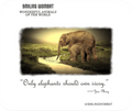 Only Elephants should own Ivory - Mouse Pad - Shopify