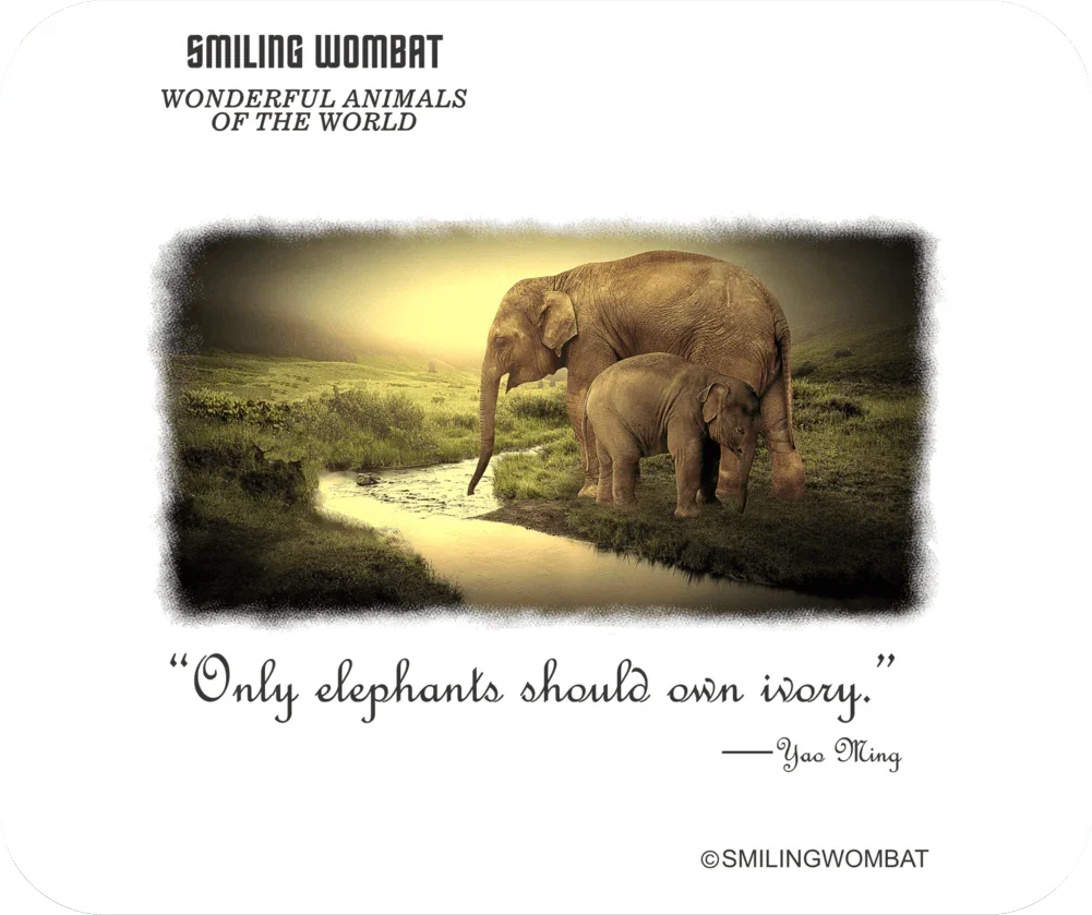 Only Elephants should own Ivory - Mouse Pad - Shopify