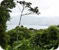 Panama Canal Mouse Pad from Smiling Wombat - Shopify