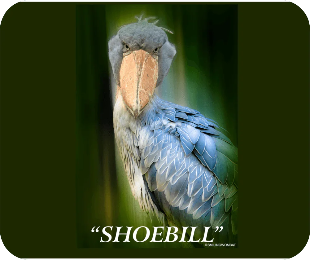 Shoebill Mouse Pad - Shopify