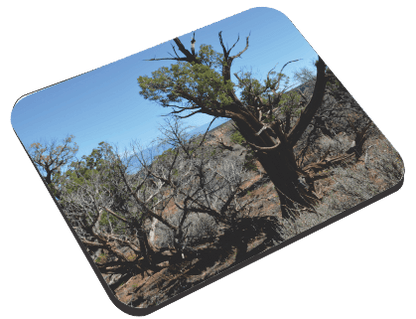 Colorado National Monument- Mouse Pad Mouse Pads Smiling Wombat