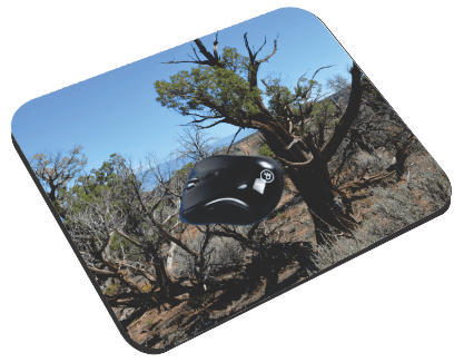 Colorado National Monument- Mouse Pad - Smiling Wombat