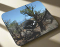 Colorado National Monument- Mouse Pad - Shopify