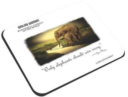 Only Elephants should own Ivory - Mouse Pad Mouse Pads Smiling Wombat