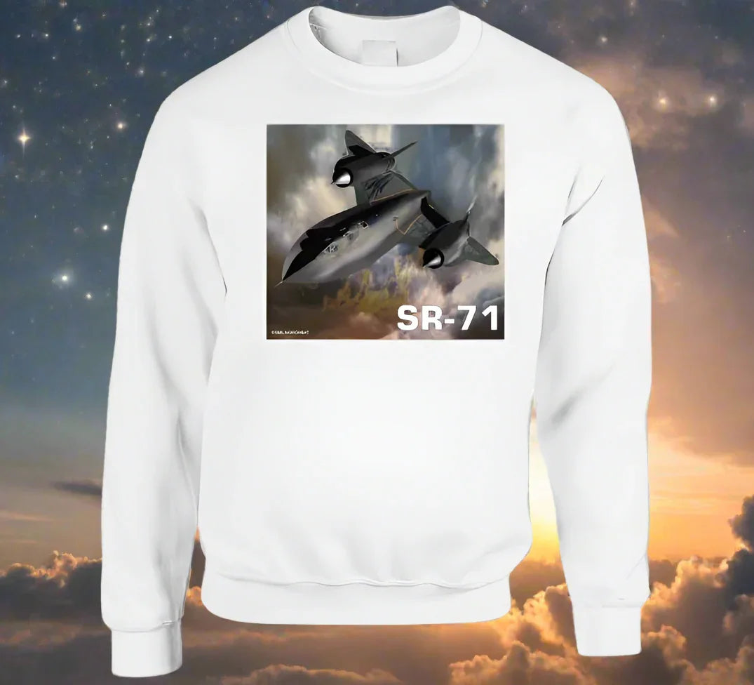 Sweatshirt: SR-71 Blackbird aircraft design on cozy Smiling Wombat sweatshirt