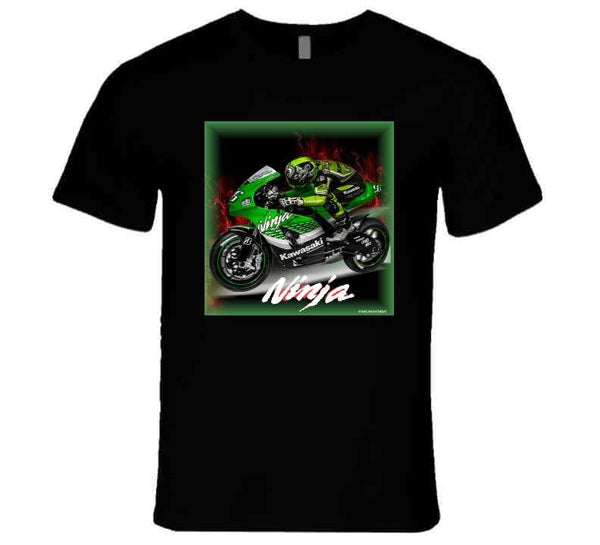 Kawasaki ZX-RR Moto GP 