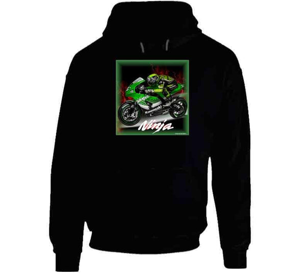 Kawasaki ZX-RR Moto GP 