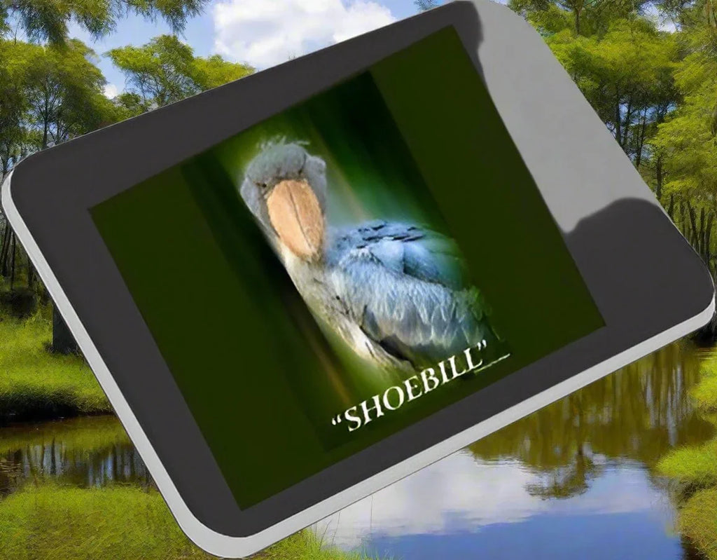 Shoebill Mouse Pad - Shopify