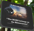 Rhino Horns are Not Medicine - Rhino Mouse Pad - Shopify